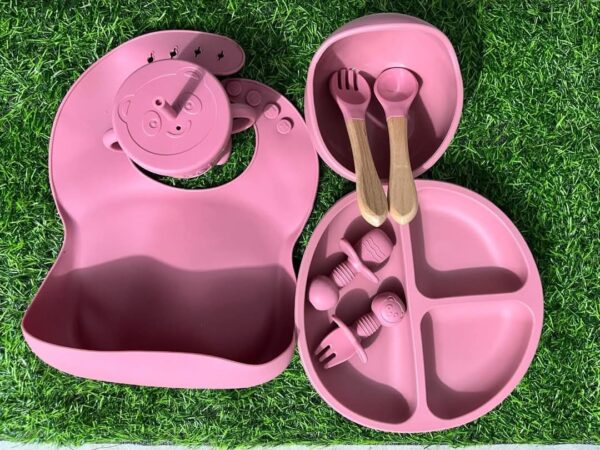 Premium Quality Silicone Baby Feeding set (6 pis) - Image 2